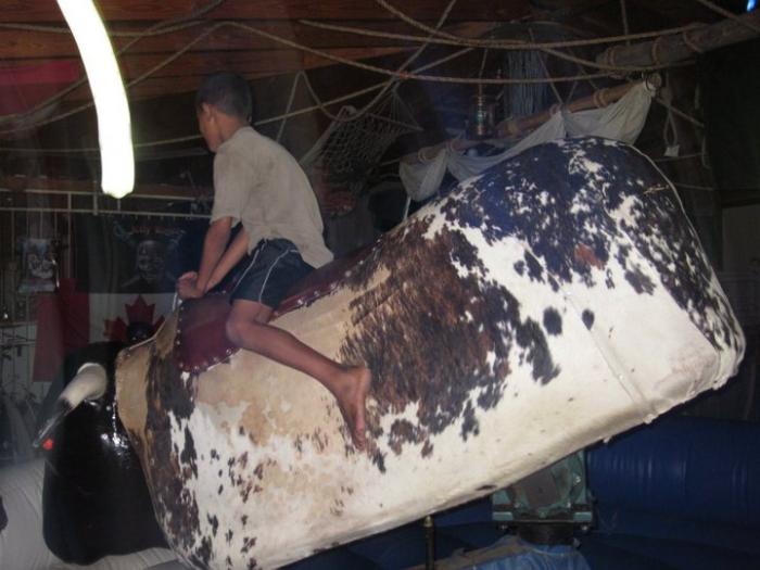 61625 1599166866249 1448350427 1575853 6853882 n