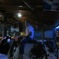 58340 1599169866324 1448350427 1575865 8214349 n